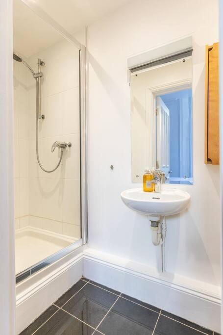 דירות ברייטון Victorian Flat Close To Station With Large Garden מראה חיצוני תמונה